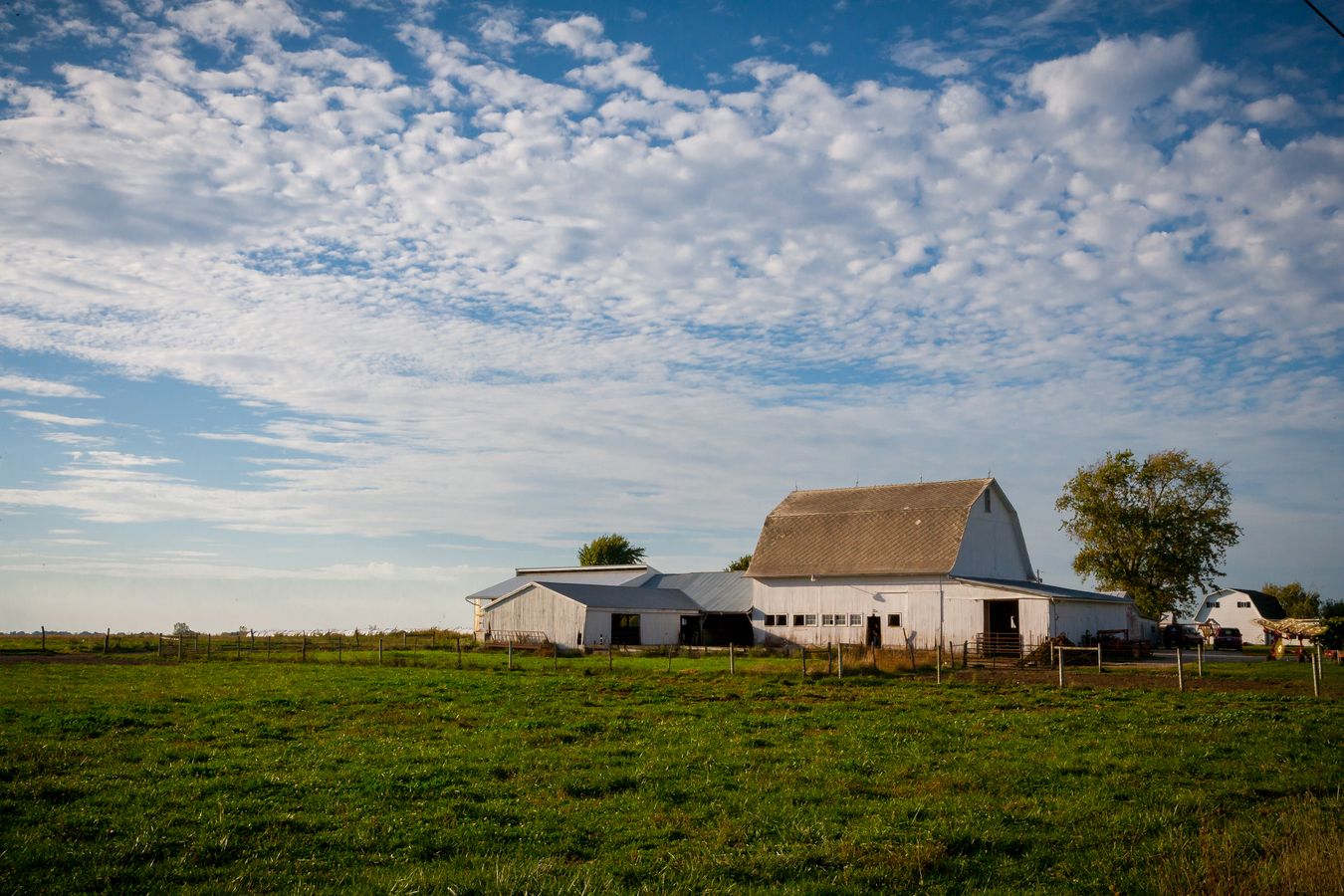 White farmhouse and barn under a blue Ohio sky