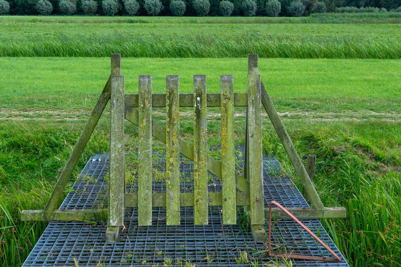 Wood farm gate across a misty green field