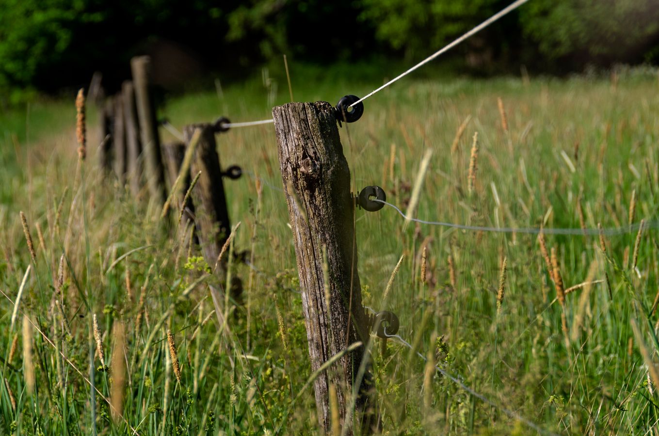 Barbed wire fence post in a green pasture