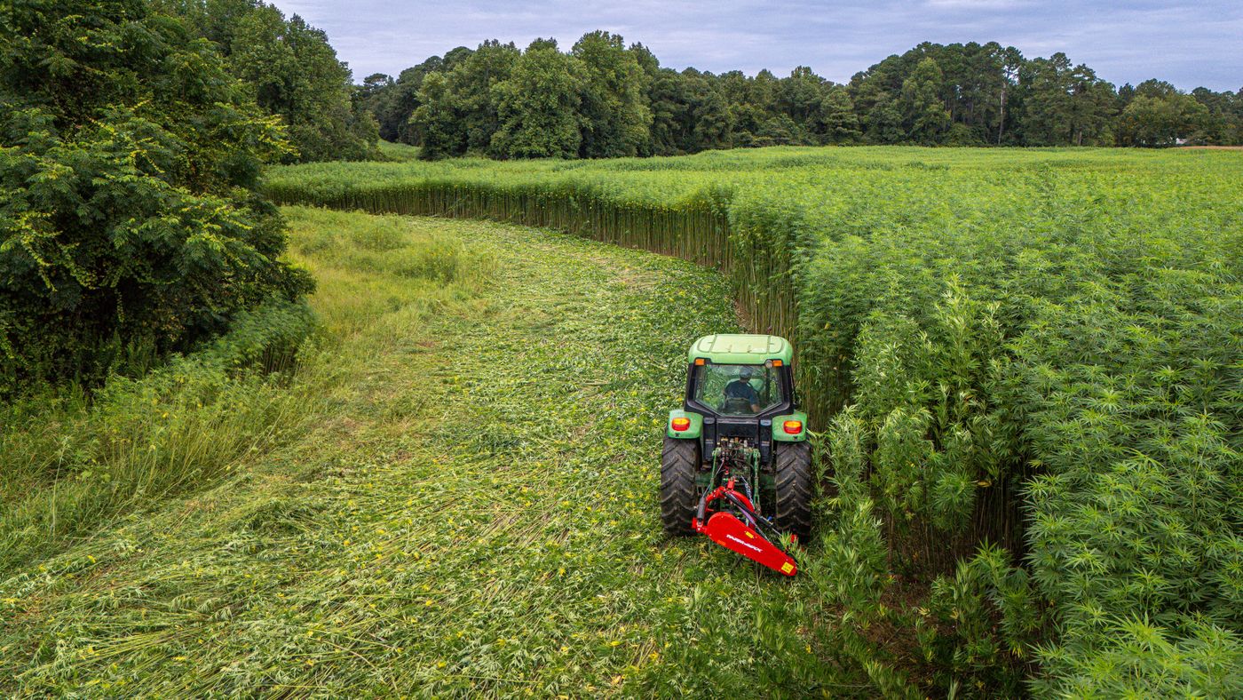 Tractor brush hogging along the edge of a field