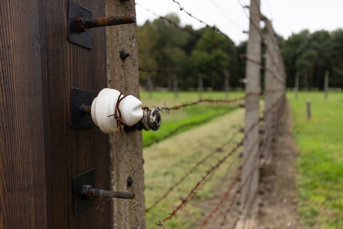Electric fence wire and insulator on a wood post